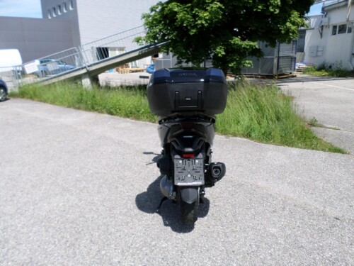 Honda<br>Forza 300 mit Topcase – Bild 4