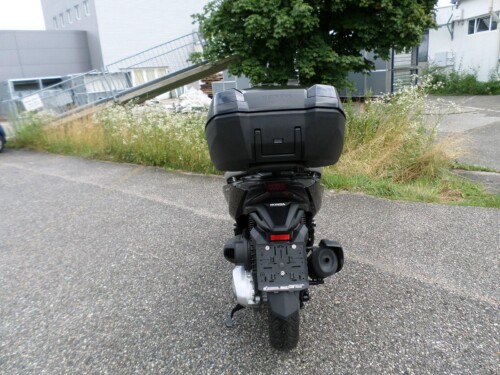 Honda<br>Forza 350 mit Topcase – Bild 4